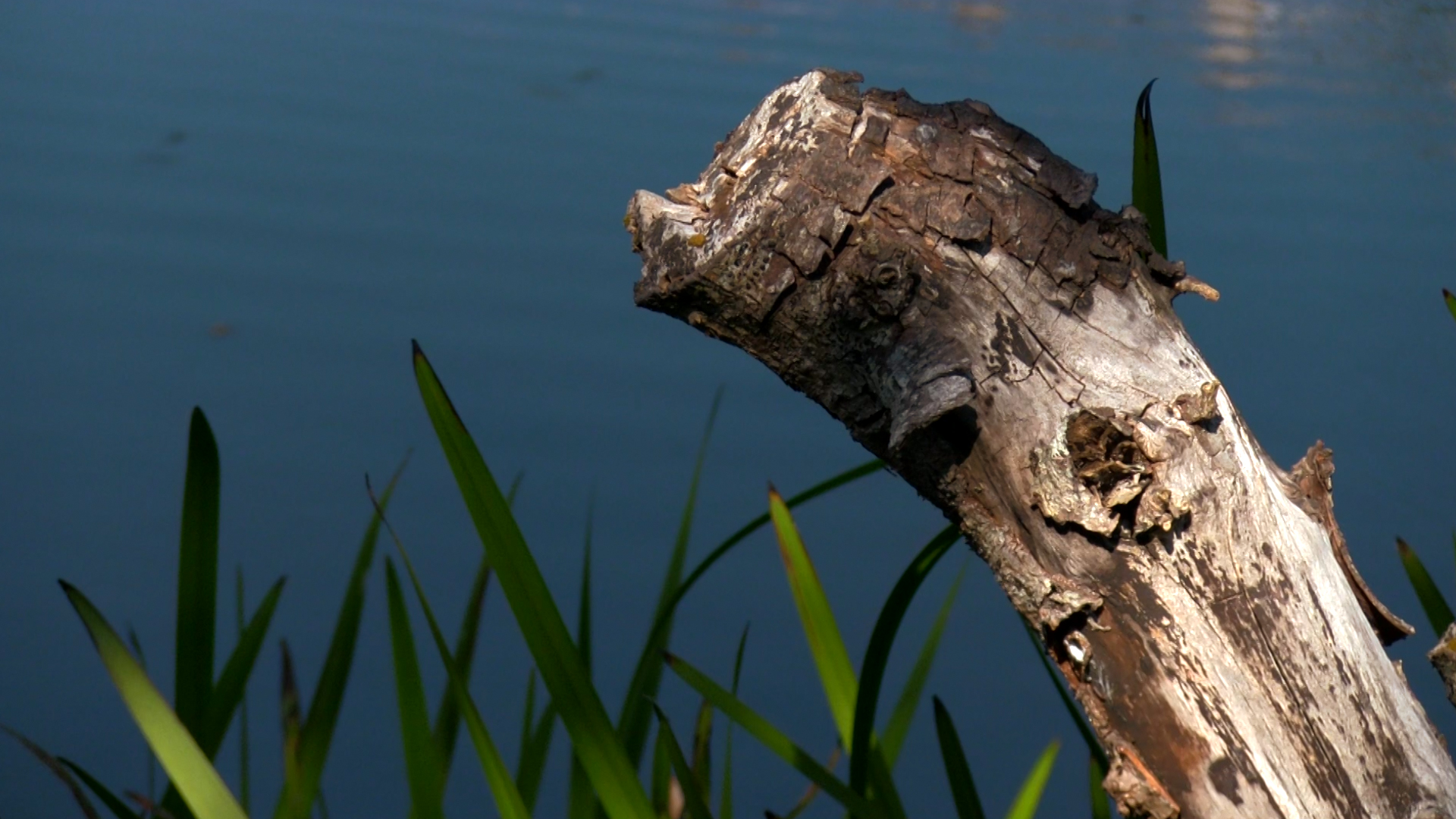 R&S_Terra de Celanova_2