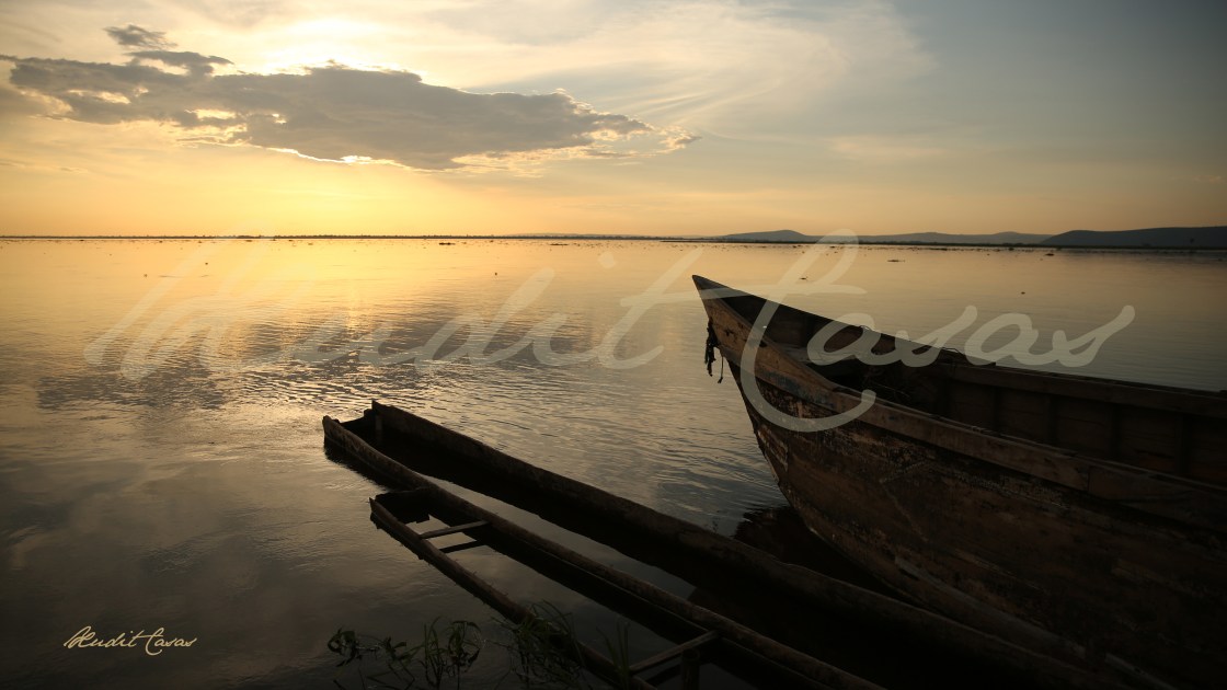 Congo_Barca_Xudit Casas_Blog